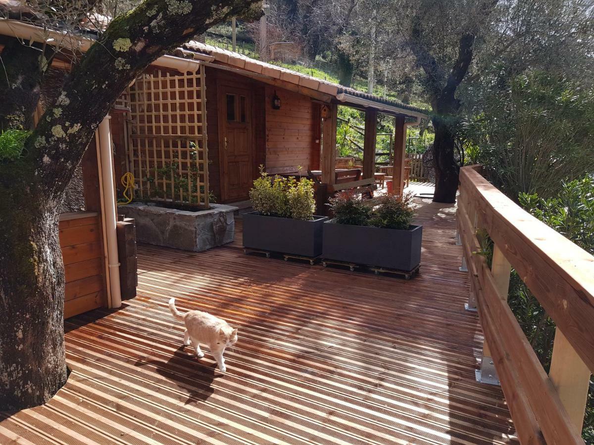 Le Chalet De Valentine & Laurent Olmiccia Buitenkant foto